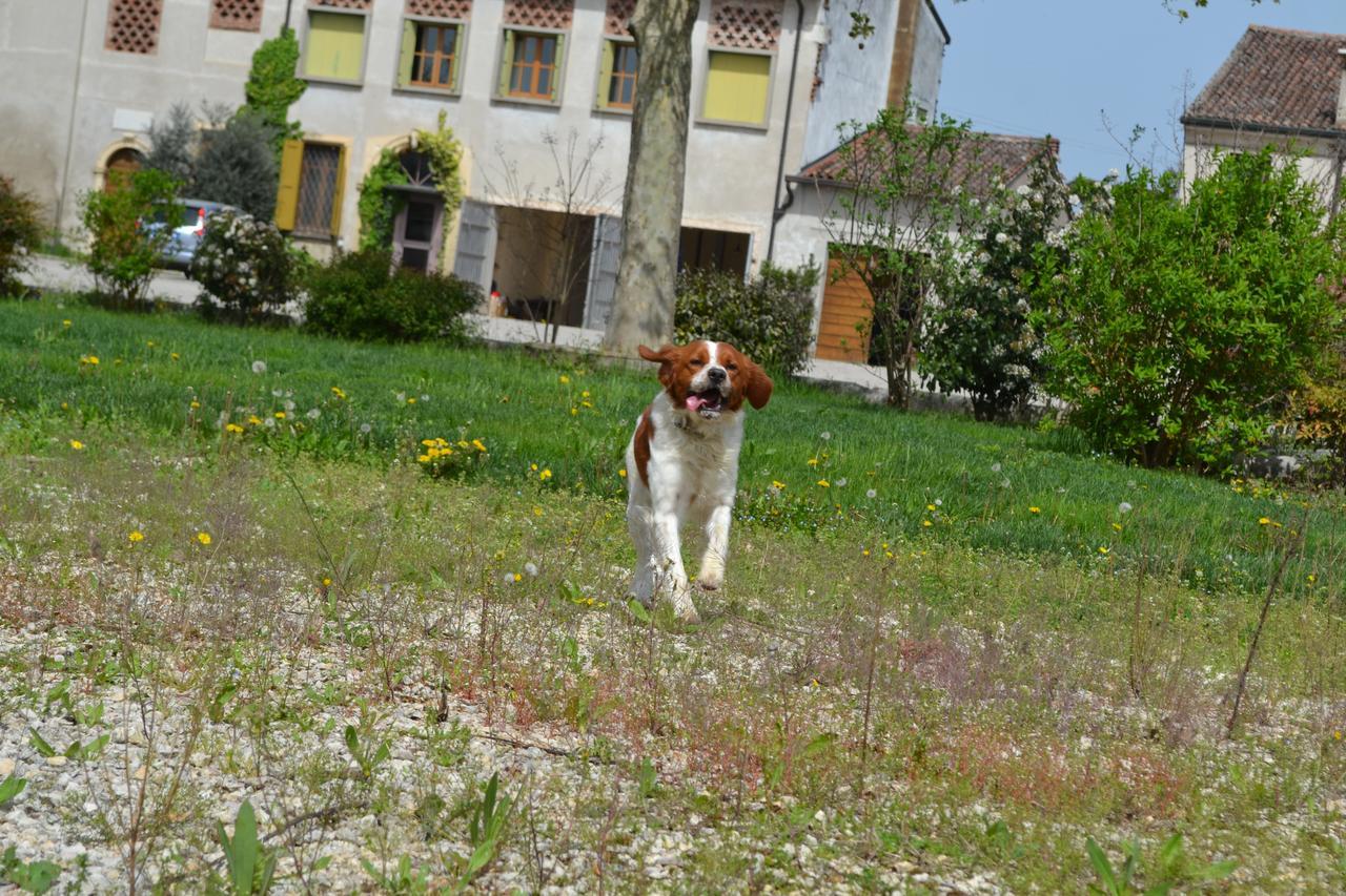 Agriturismo Otto Ducati D'Oro Isola della Scala Eksteriør bilde